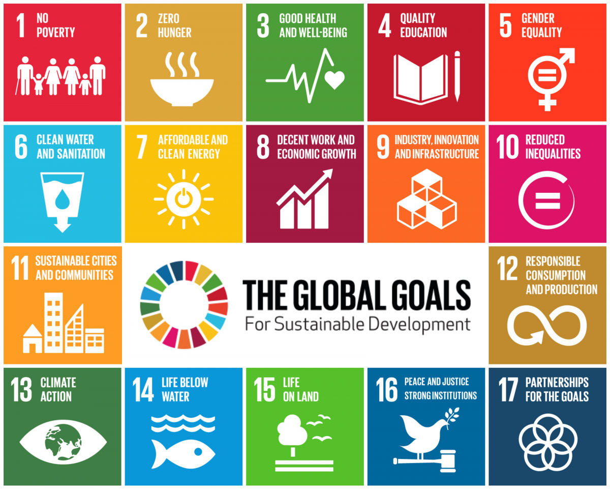 The UN Sustainable Development Goals