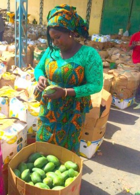 Woman selling magoes at market in Senegal