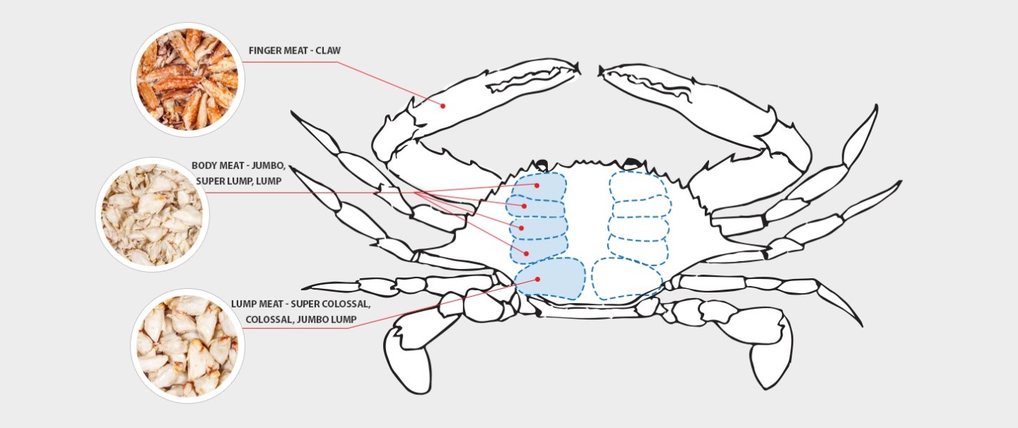 Grading guide for preperad ans processed crab