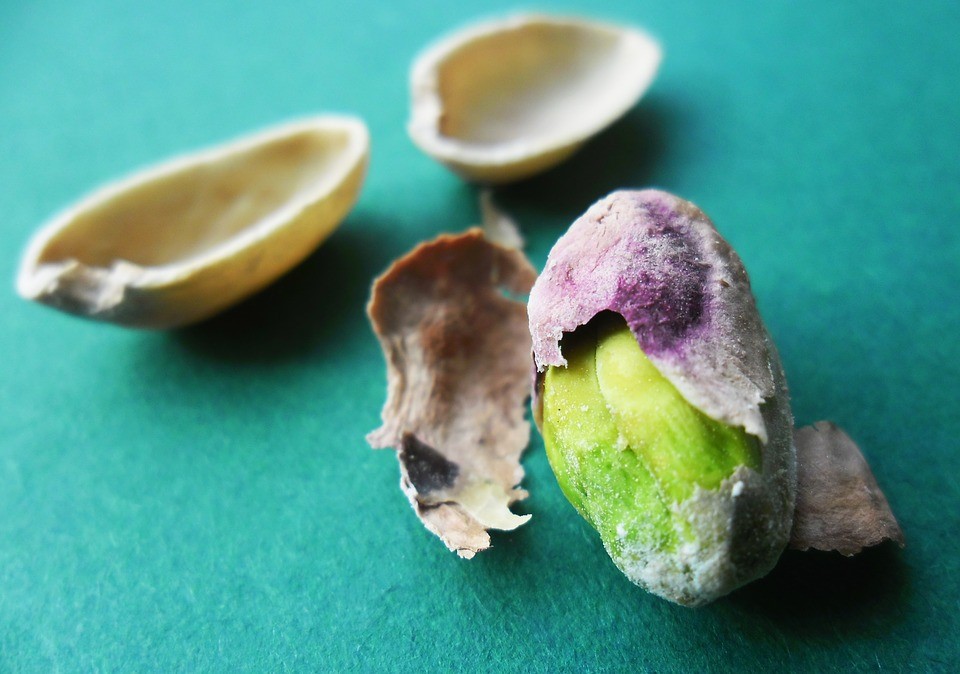 pistachio importers