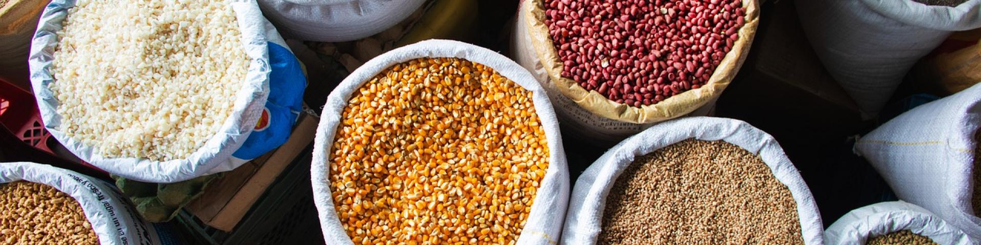 Grains and pulses in bags