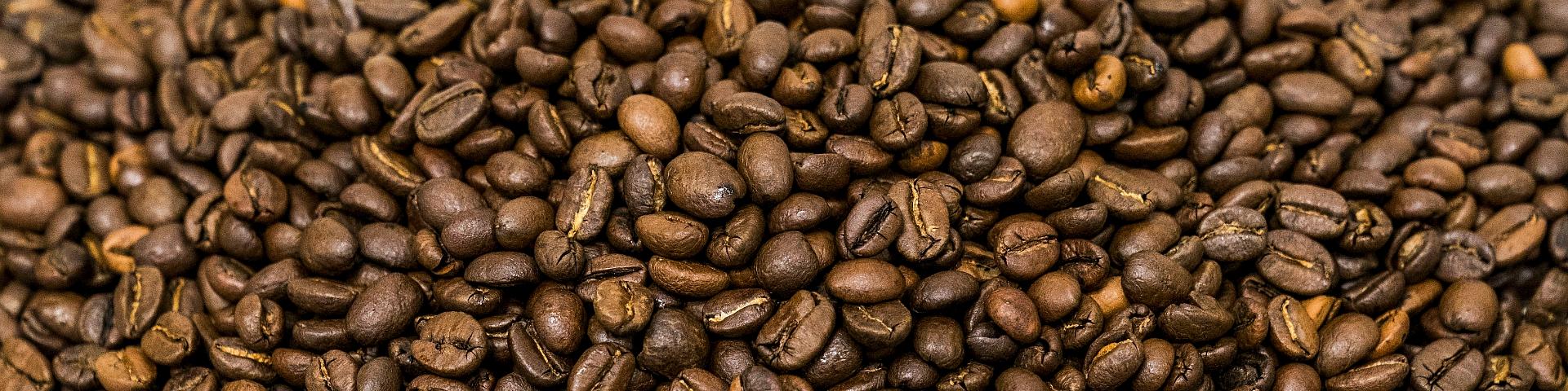 import coffee beans to usa