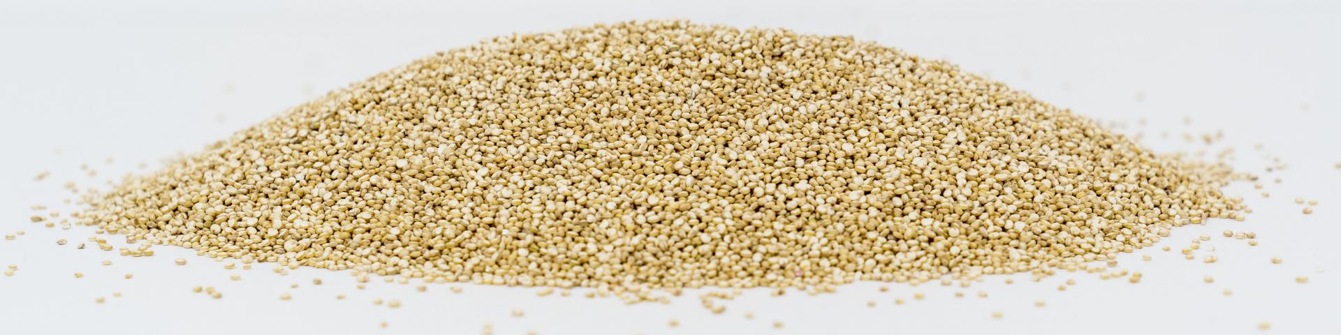 quinoa2