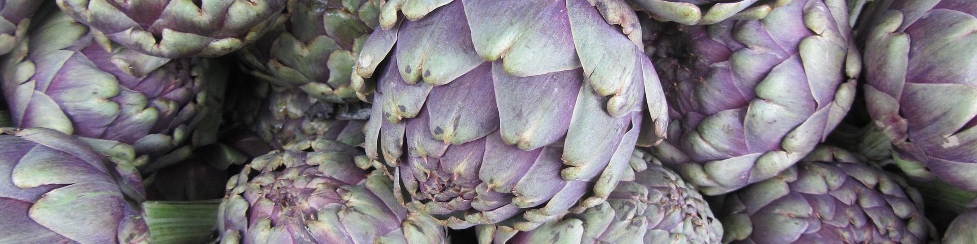 artichoke-267974_1920 Ronile via Pixabay