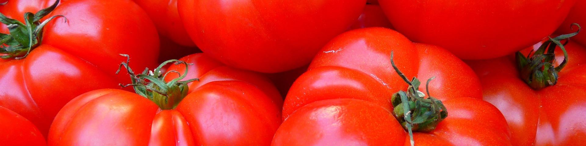 banner1_tomatoes-5356_1920_via-pixabay