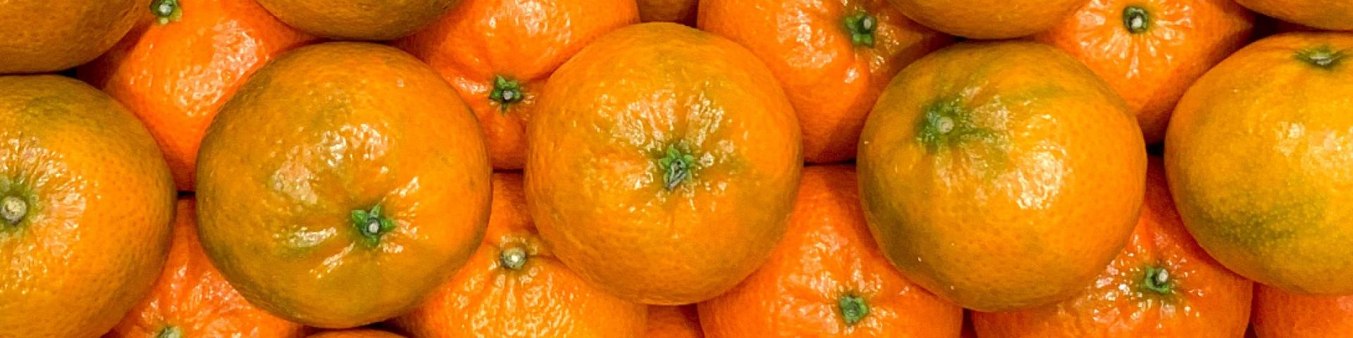 Market basket: Tiny clementines perfect for snacks, recipes