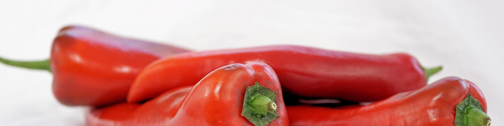 Entering the European market for fresh chilli peppers