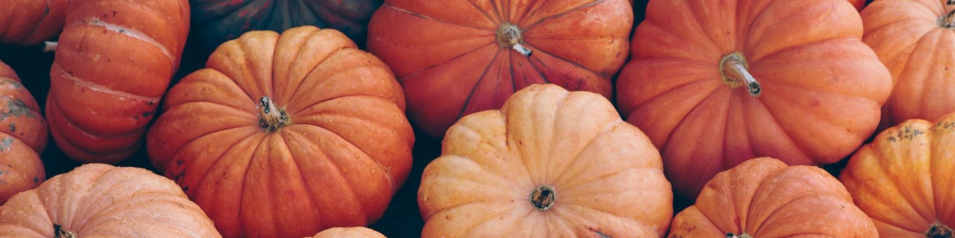 pumpkin-7496159_1920 Jens via Pixabay