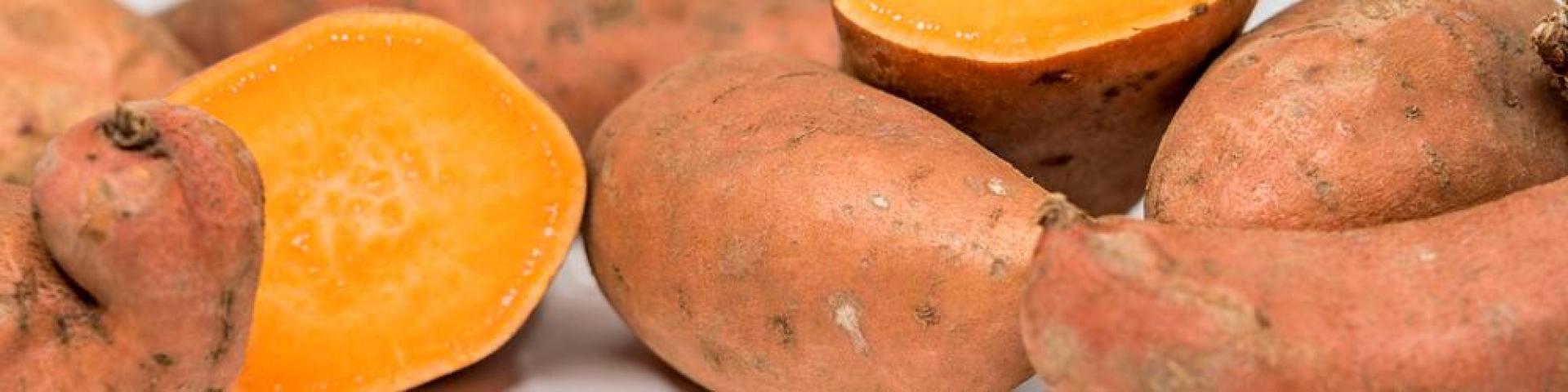 Organic Sweet Potatoe, overseas season update