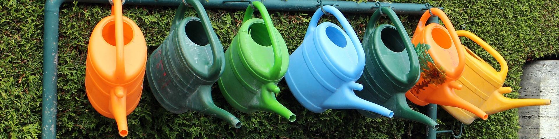 watering-can-342553_1920 Manfred Antranias Zimmer via Pixabay(1).jpg