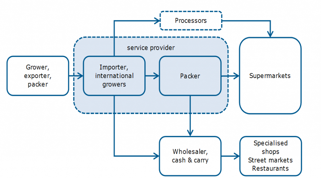 Supply channels for fresh herbs in Europe