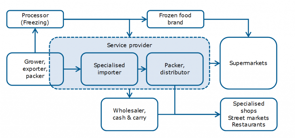 Supply channels for fresh peas in Europe