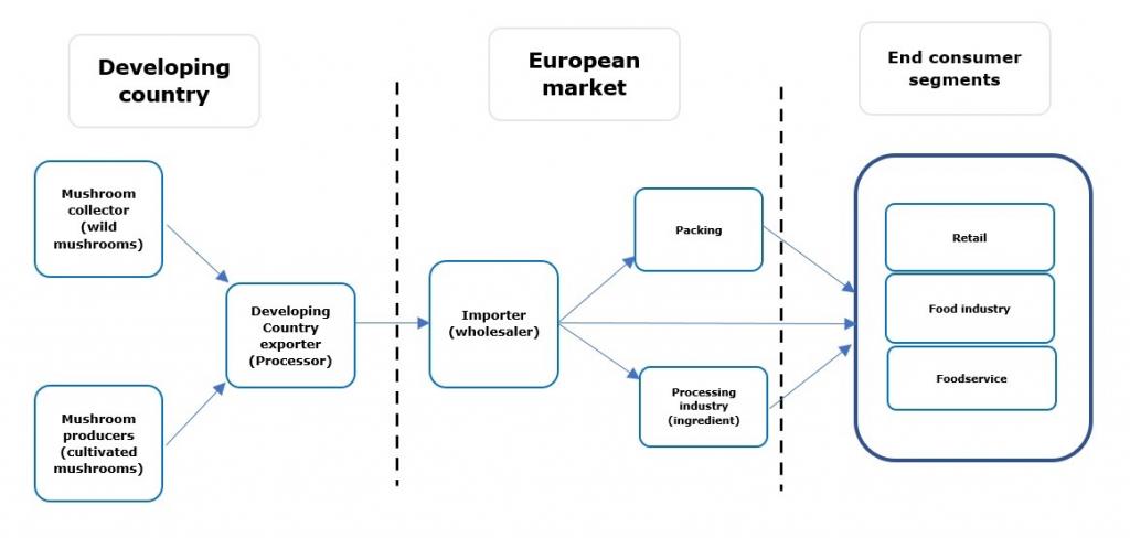 European market channels for dried mushrooms