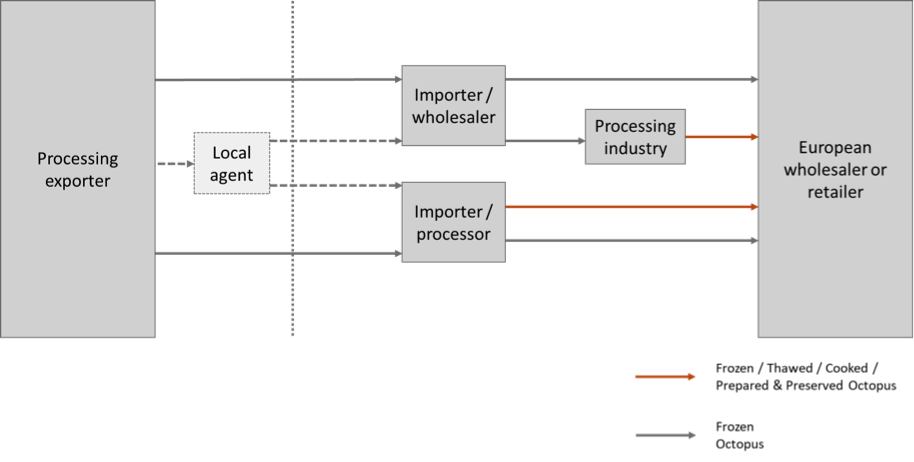 Main trade flows for octopus