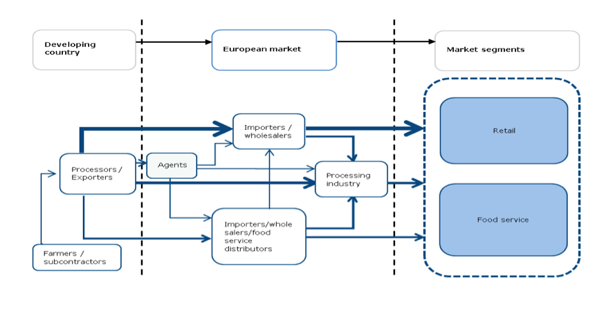 European market channels for fresh, processed and frozen squid and cuttlefish