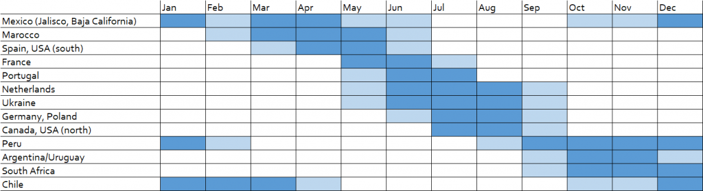 Indicative blueberry supply calendar to Europe