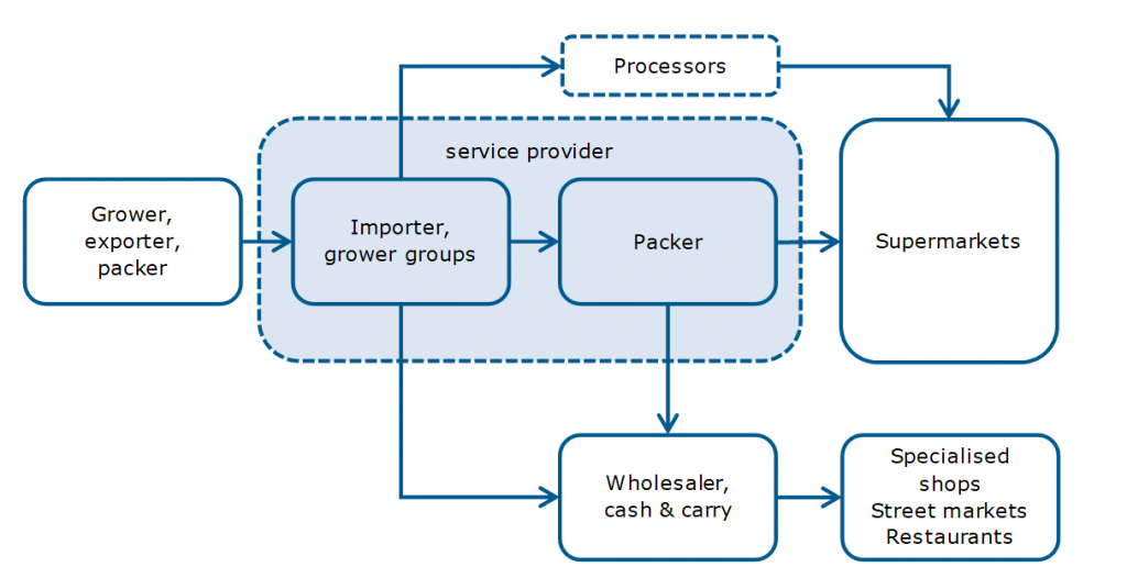 Market channels for fresh table grapes