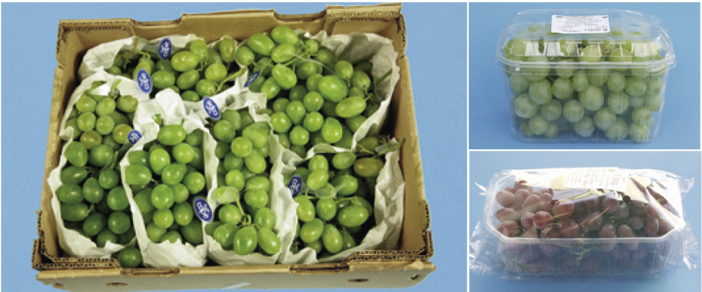 Examples of table grape packaging