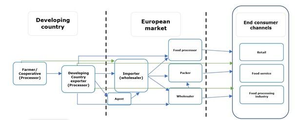 European market channels for dried tropical fruit