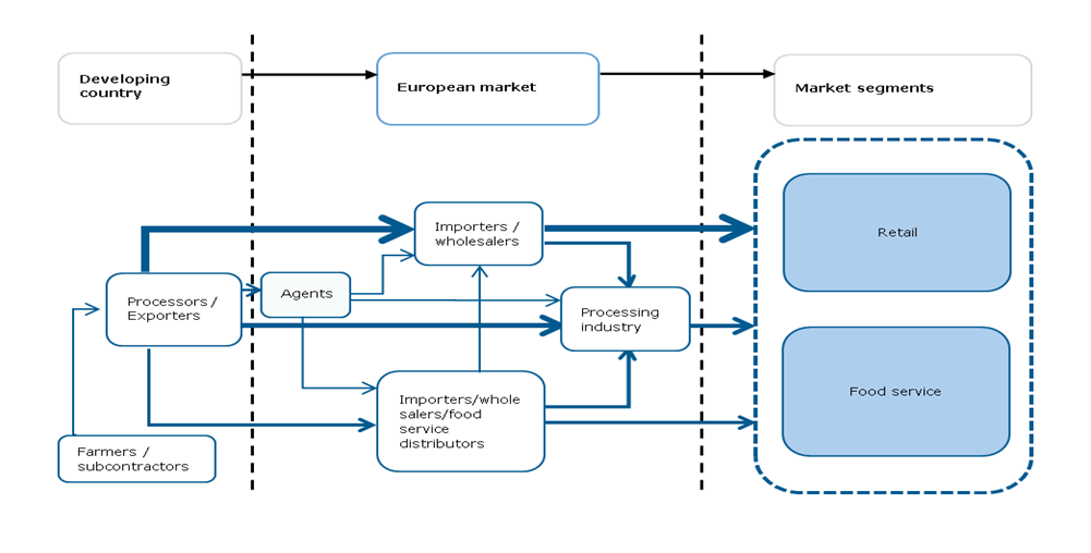 European market channels for fresh tuna