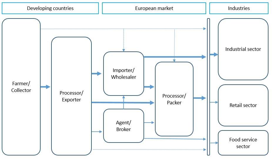 Trade channels for dried ginger in Europe