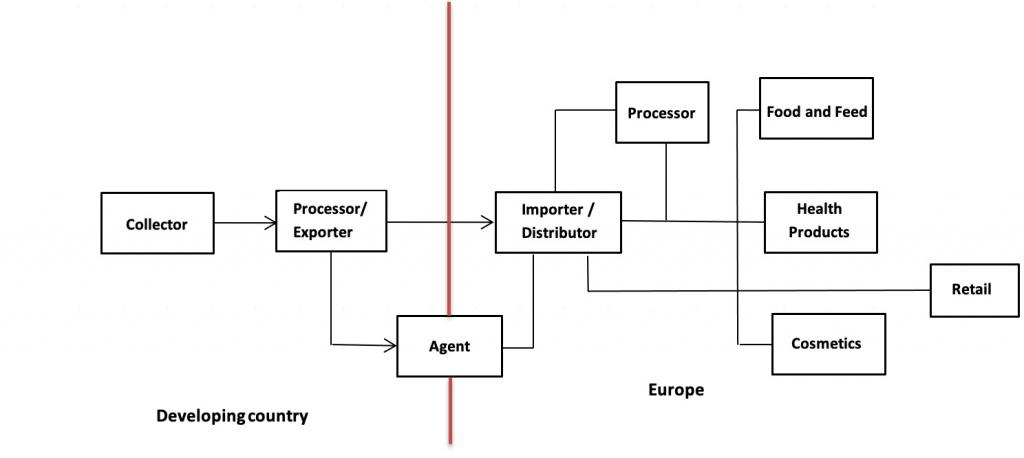 Export Value Chain of Edible Seaweed