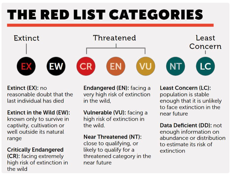 The IUCN Red List Categories