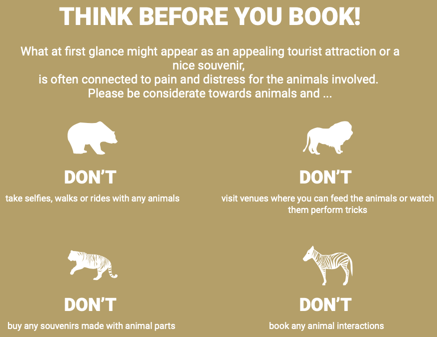 Think Before You Book!