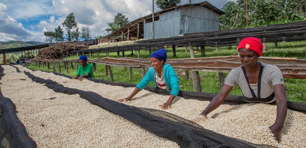 Young coffee farmers by Abakundakawa Cooperative