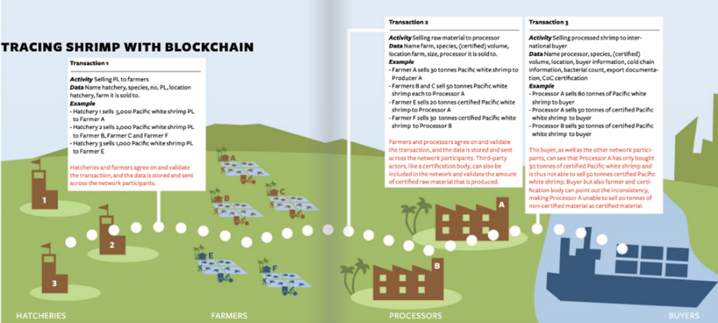  Tracing shrimp with Blockchain