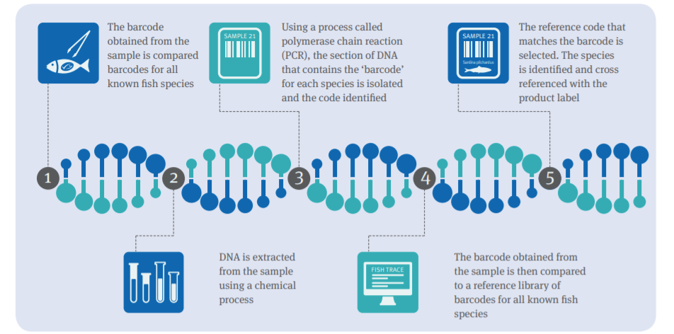 The DNA Testing Process