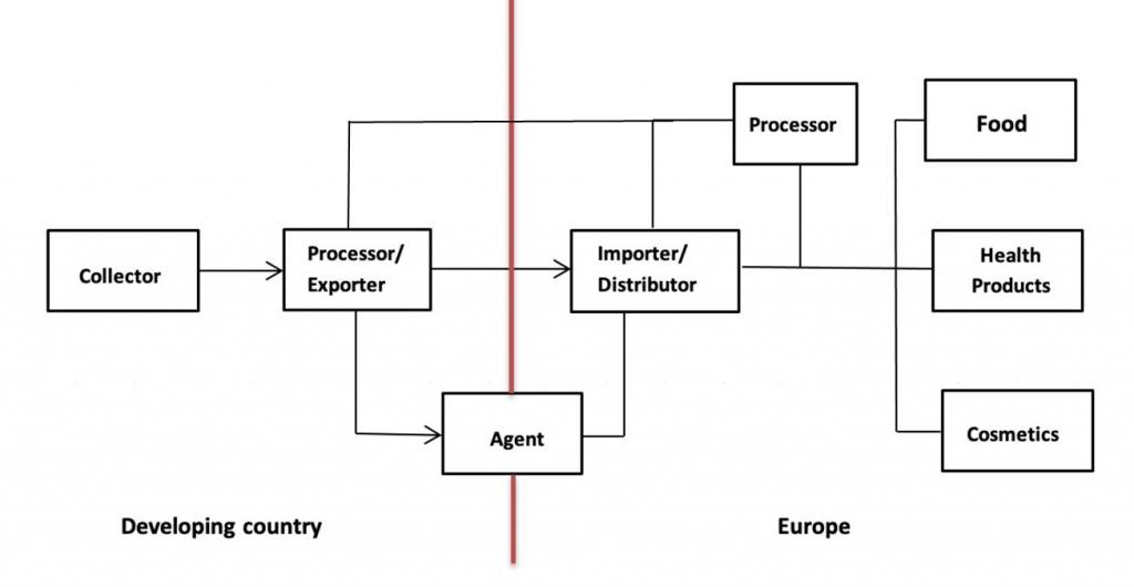 Export value chain hibiscus