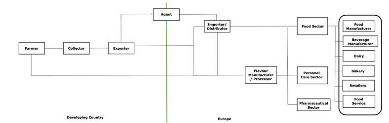 Export value chain of vanilla extract