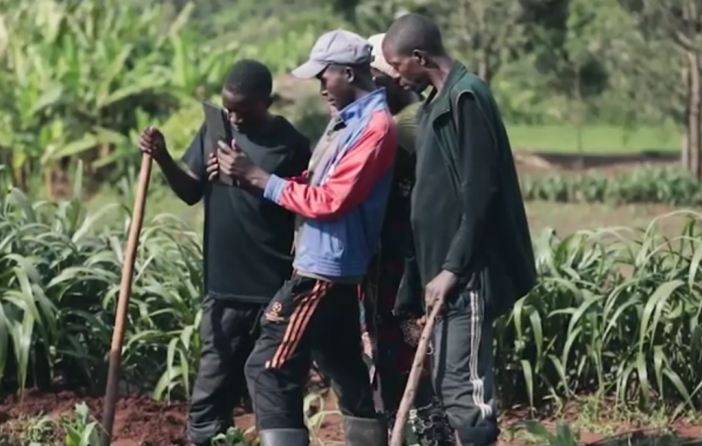 Farmers studying AgriCoach