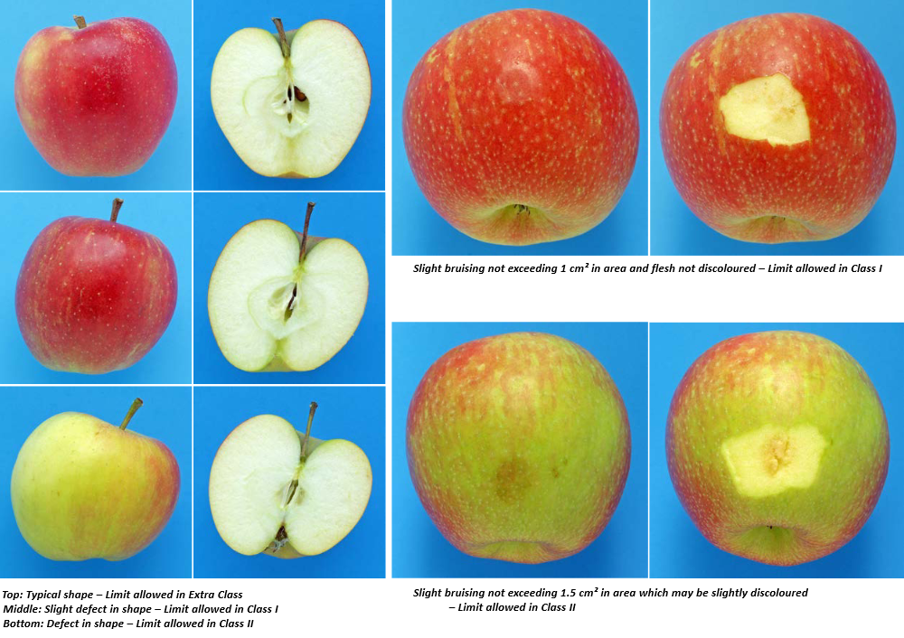 Examples of different classes and tolerances