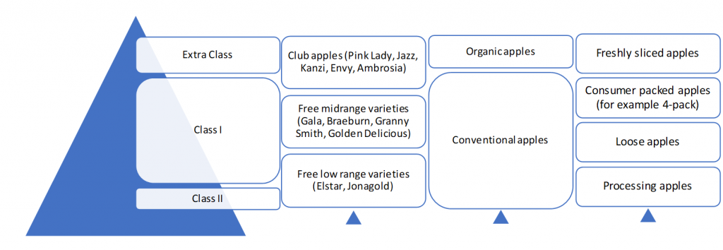 Segments in the apple market