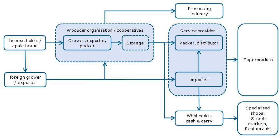 European market channels for fresh apples