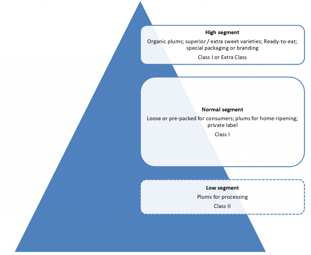 Market segments for fresh plums in Europe