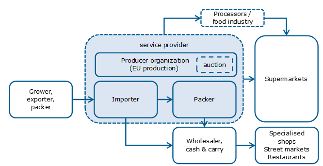 The Dutch market channels for fresh fruit and vegetables