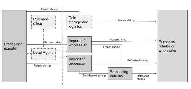 Market channels in the European shrimp market 