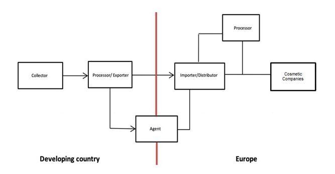 Export Value Chain for Baobab Oil