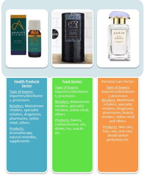 Examples of essential oil products in the European market