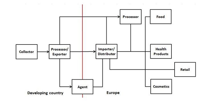 Export Value Chain of Essential Oil