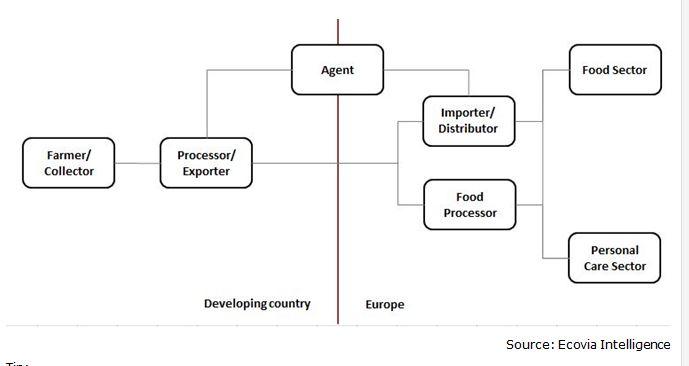 Export value chain of coconut sugar