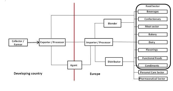 Export value chain for guar gum and gum arabic