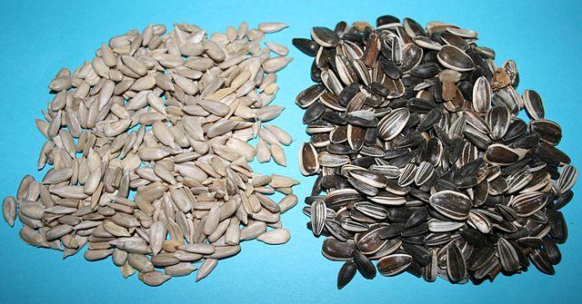 Sunflower seeds, unshelled and shelled