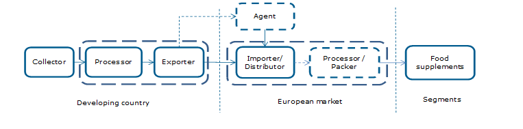 Export value chain of baobab 