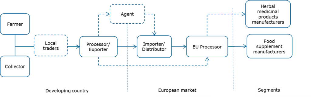 Export value chain for immune-boosting botanicals