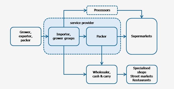 Market channels for blueberries