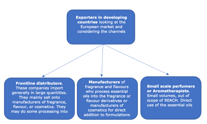 Main possible channels for an exporter of essential oils